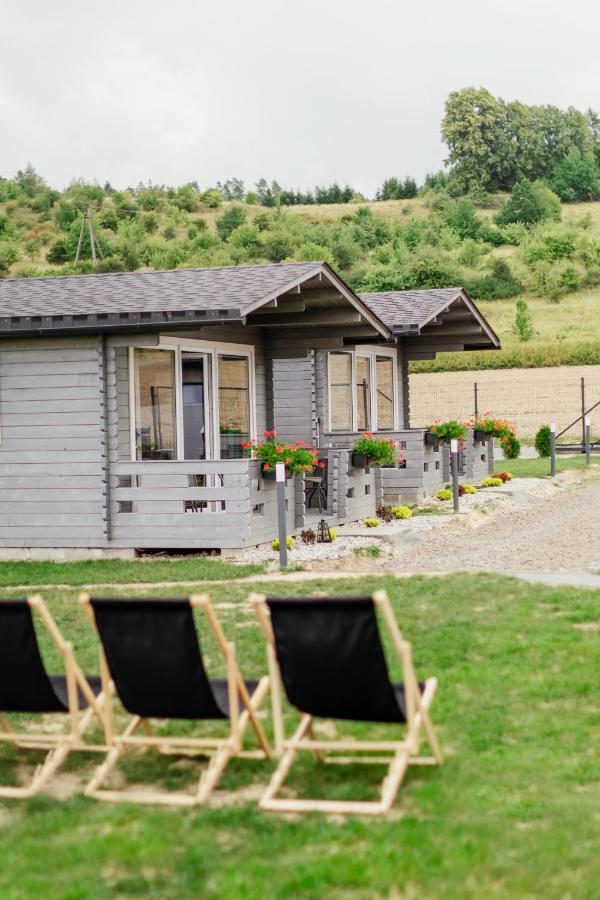 Tobiaszowka Villa Kudowa-Zdroj Bagian luar foto